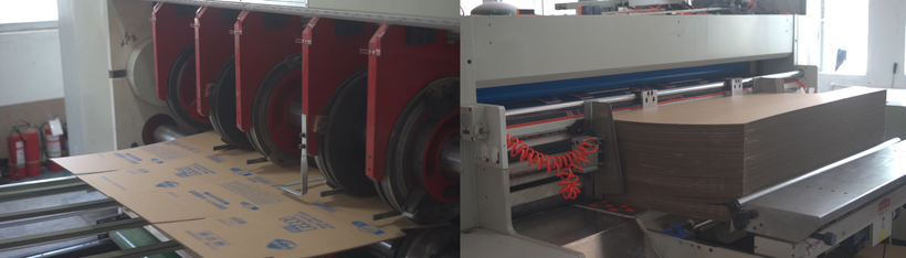 Corrugated Box & Color Box