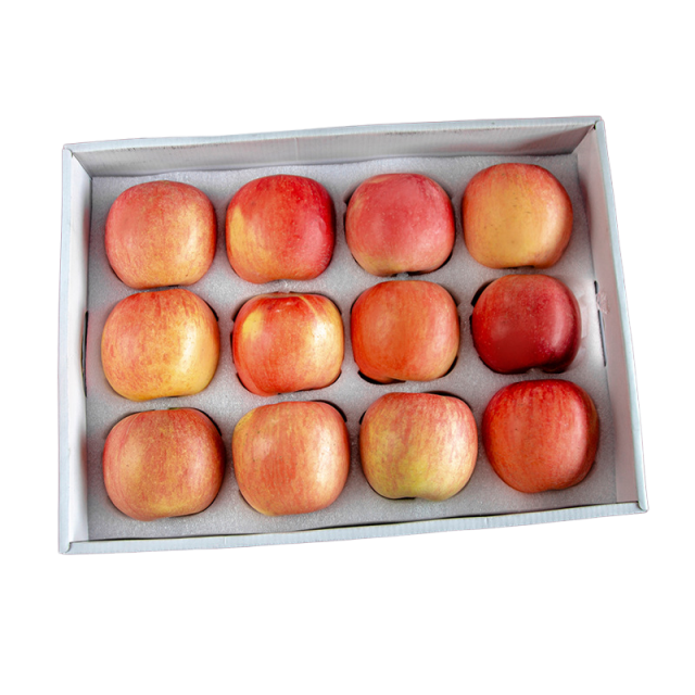 EPE Foam Fruit Packaging Tray – Shockproof Fruit Liner for Apple & Produce Boxes